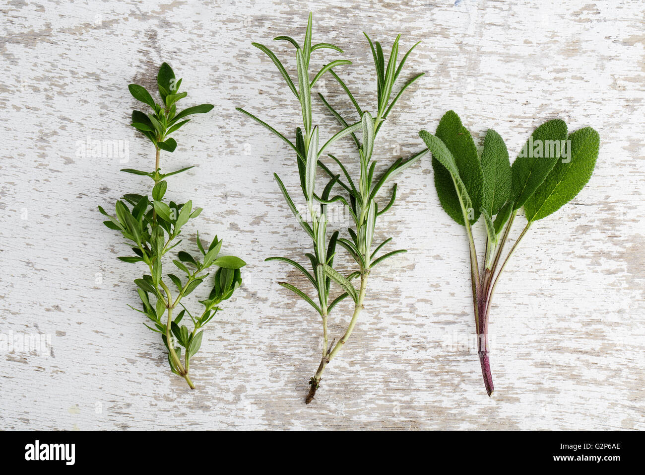 Single twigs of Thyme, Sage and Rosemary with Oregano on Wooden Board Stock Photo