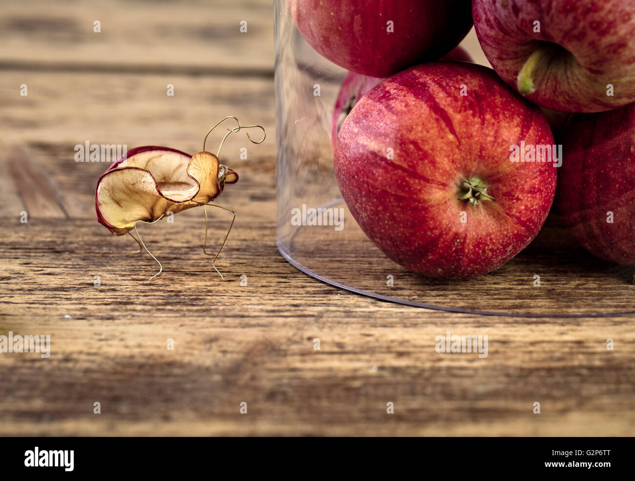 Miniature with Fruit Bugs inspecting Apples under glass dome Stock Photo