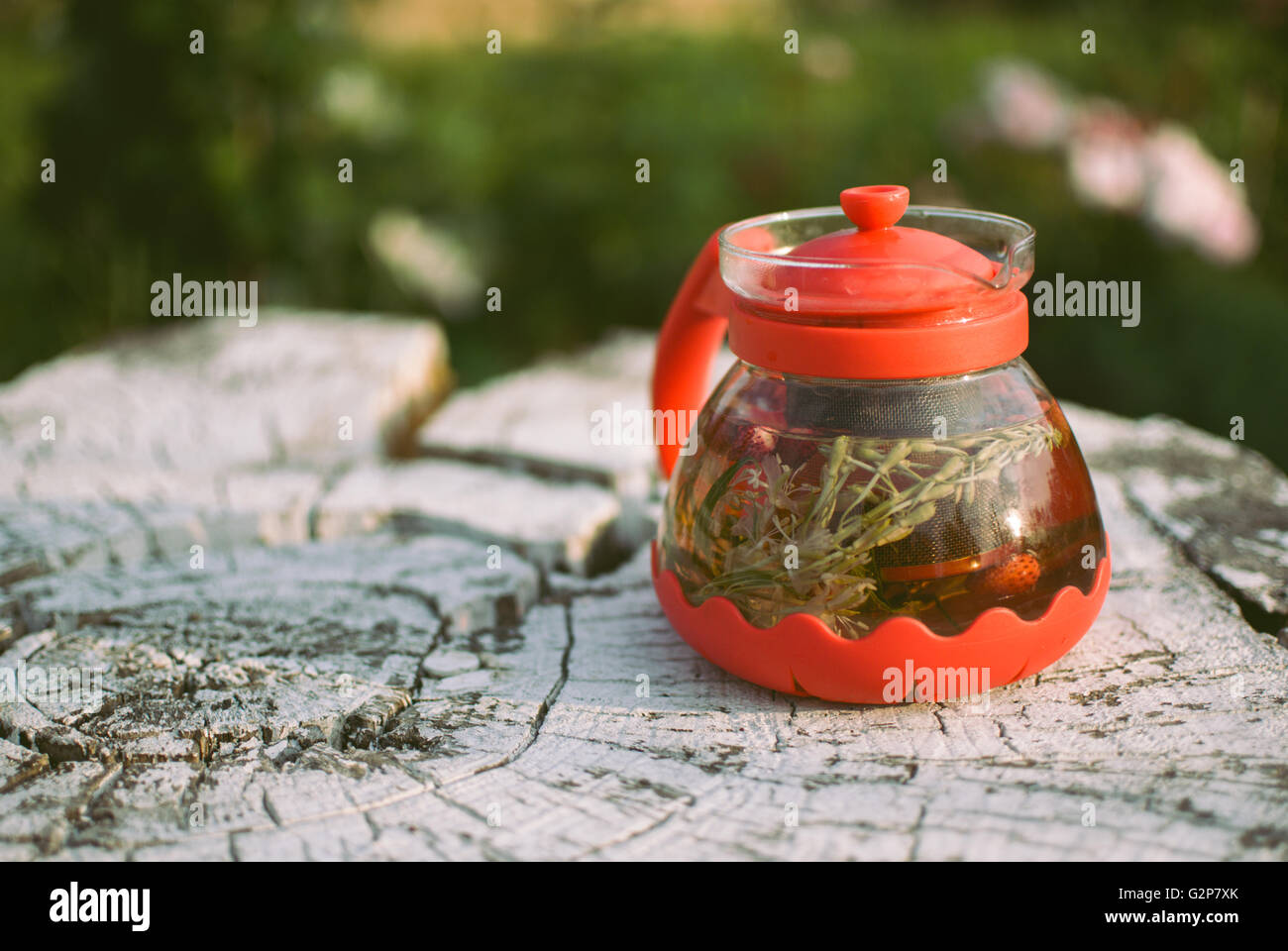 teapot of fruit tea with herbs and berry on the white tree stump Stock Photo Alamy