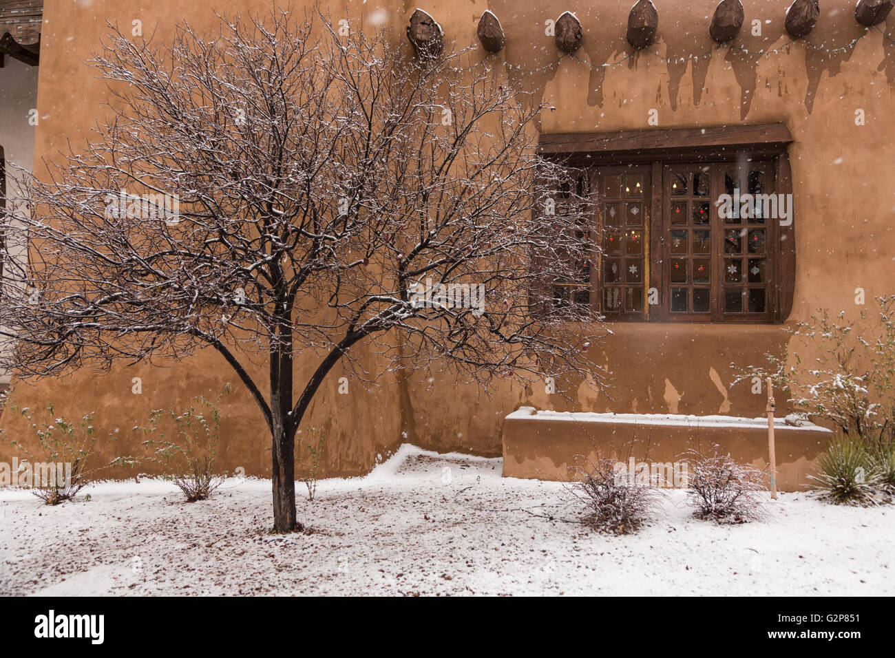 Snow covers a tree at the adobe style New Mexico Museum of Art in the