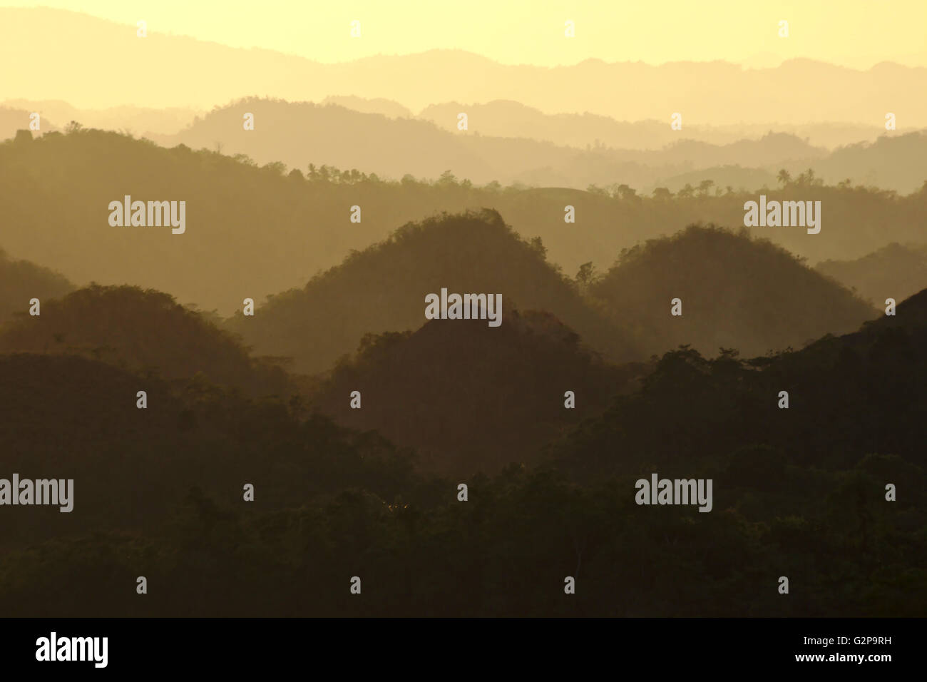 Chocolate Hills, karst cones with back light at sunset, seen from the