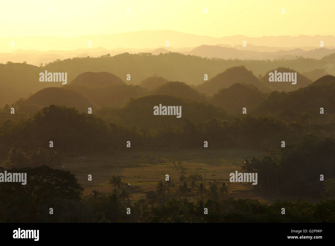 Chocolate Hills, karst cones with back light at sunset, seen from the