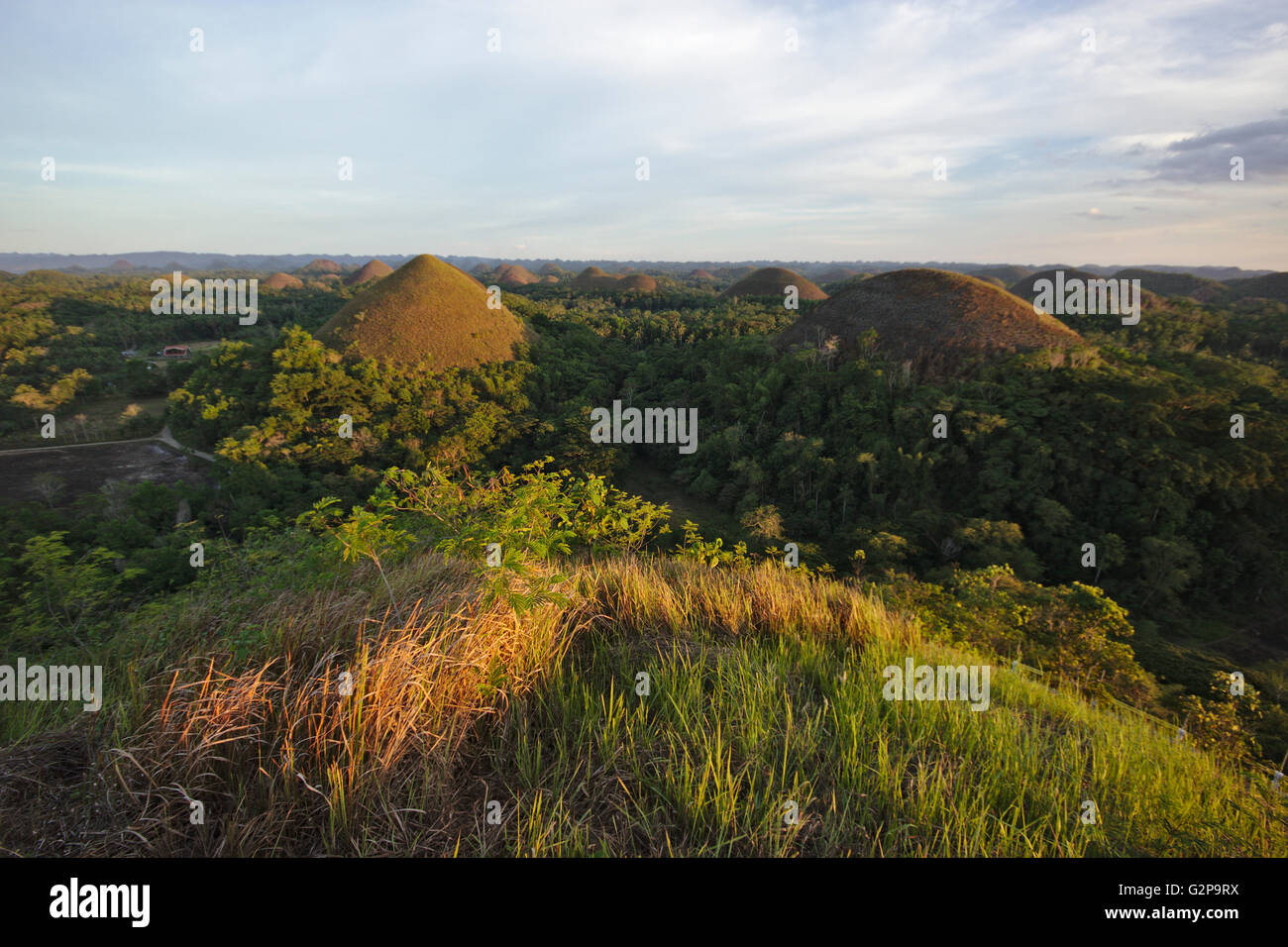 Chocolate Hills on Bohol in sunset light, from the main viewpoint