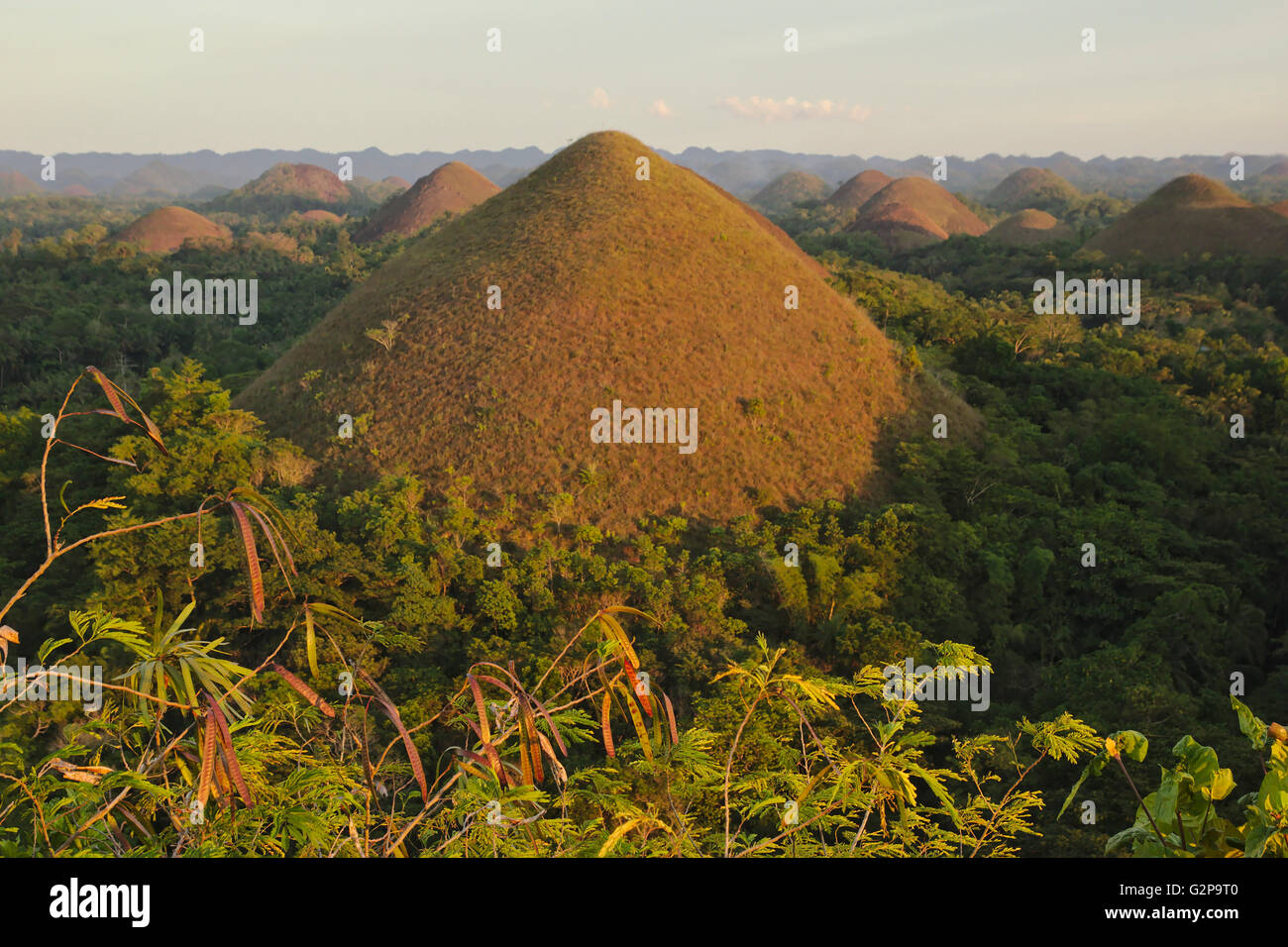 Chocolate Hills on Bohol in sunset light, from the main viewpoint