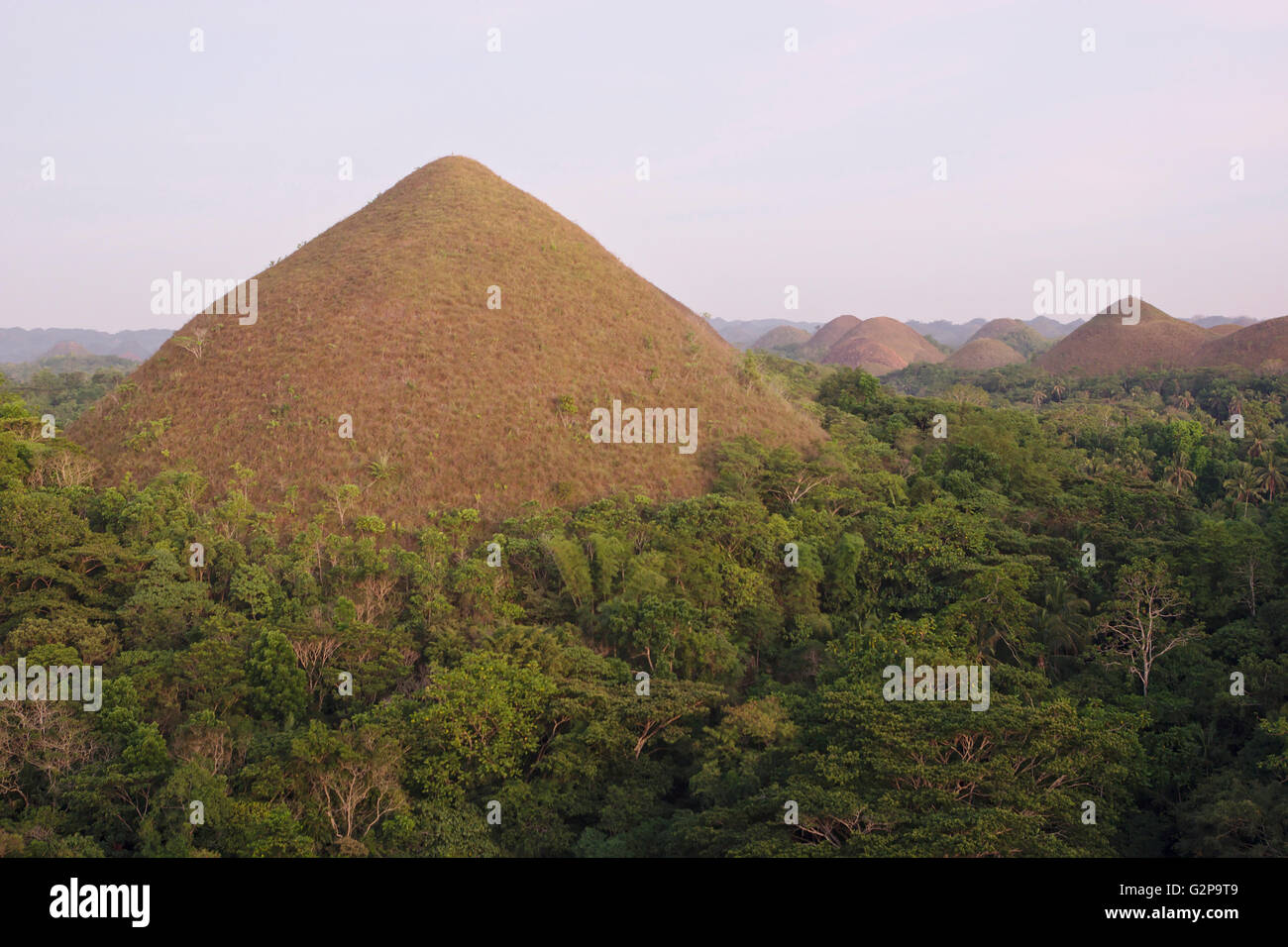 Chocolate Hills on Bohol in sunset light, from the main viewpoint
