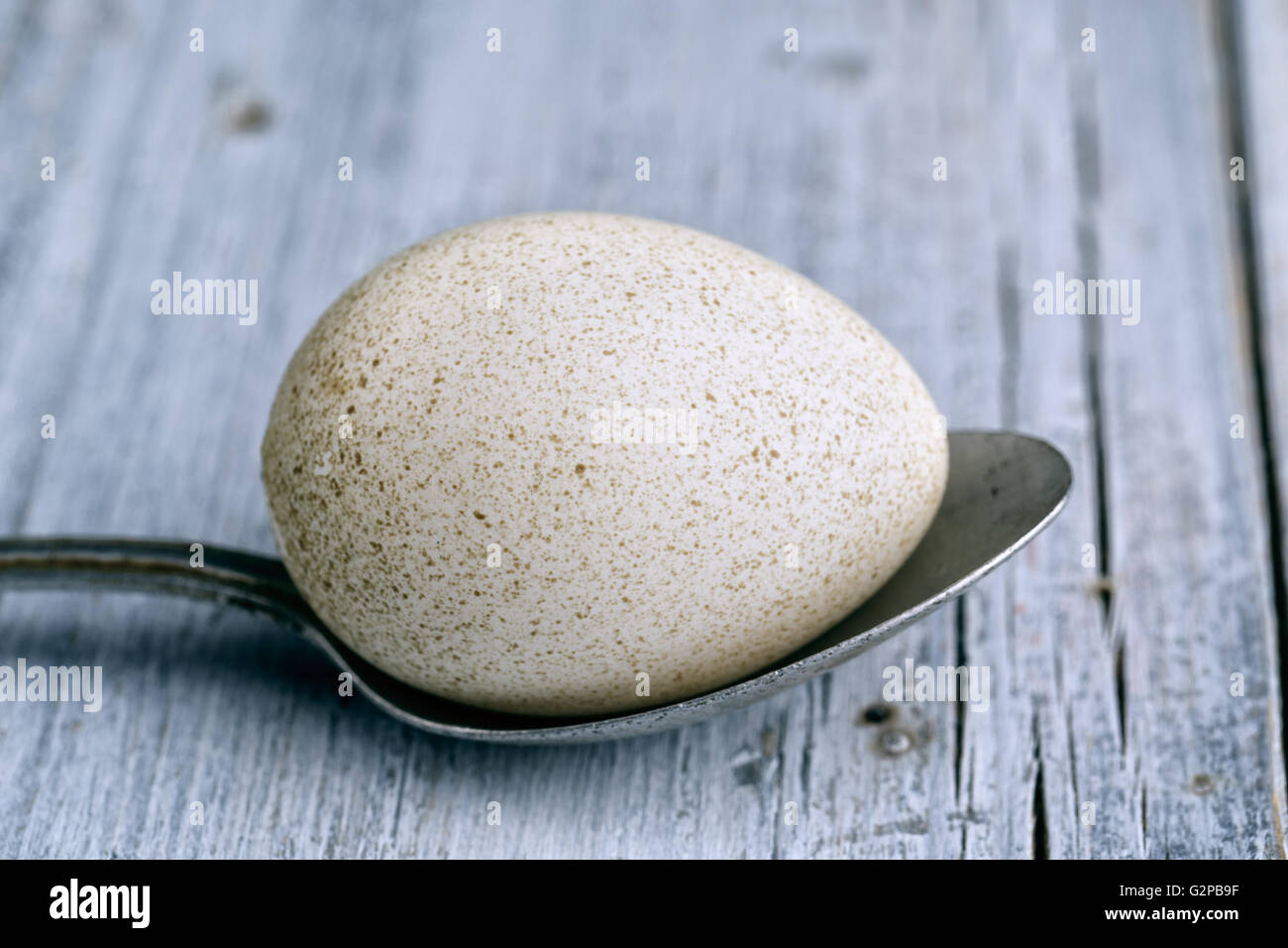 White Spotted Duck Egg and metal Spoon on wooden board Stock Photo