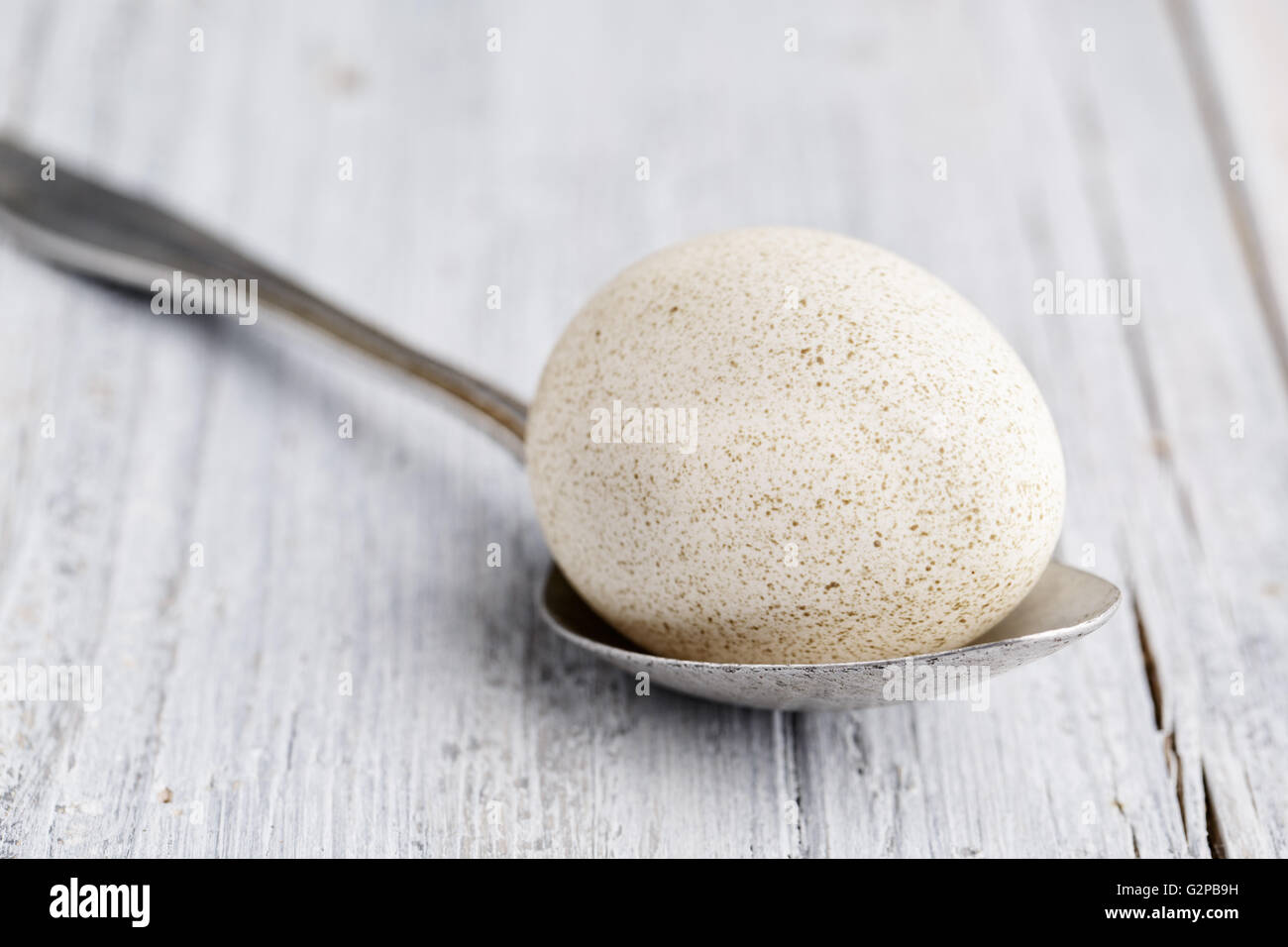 White Spotted Duck Egg and metal Spoon on wooden board Stock Photo