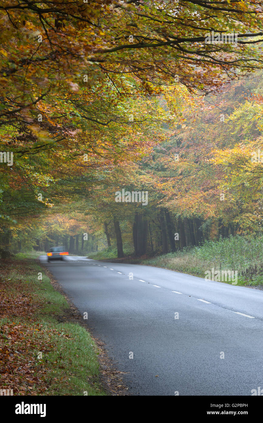 A436 road running through foggy autumnal wood, near Stow-on-the-Wold, Cotswolds, Gloucestershire, England, United Kingdom Stock Photo