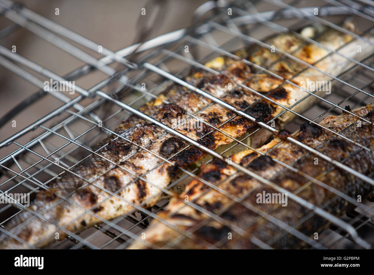 Fresh Grilled Sea Bass at the Barbecue Stock Photo