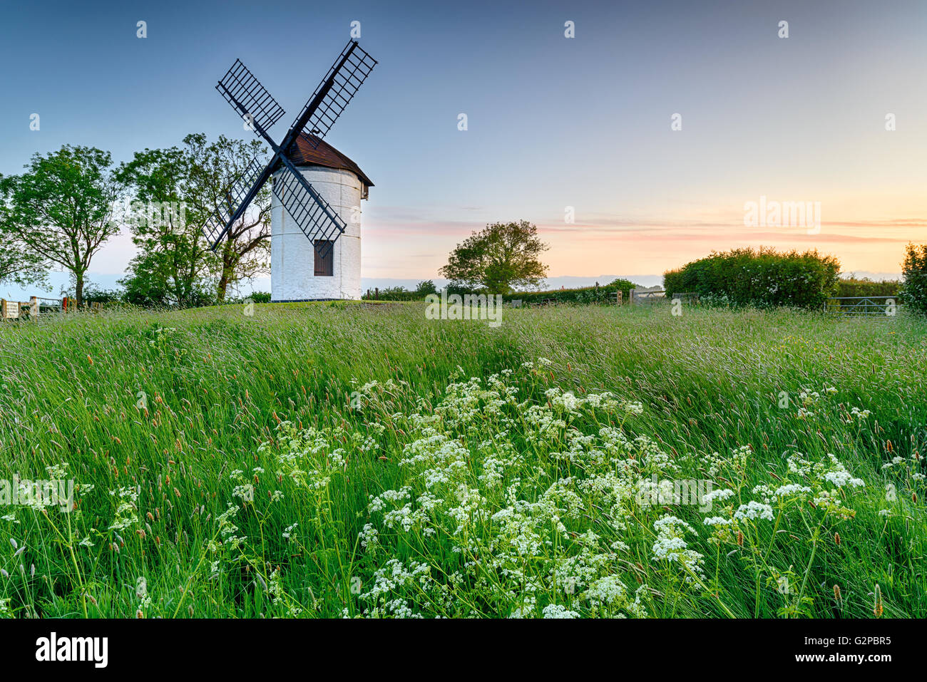 Beautiful Ashton Windmill at Chapel Allerton in Somerset Stock Photo