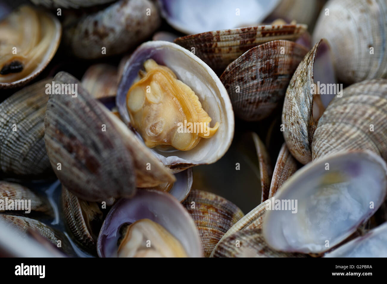 Serving of warm and fresh cooked mussels Stock Photo