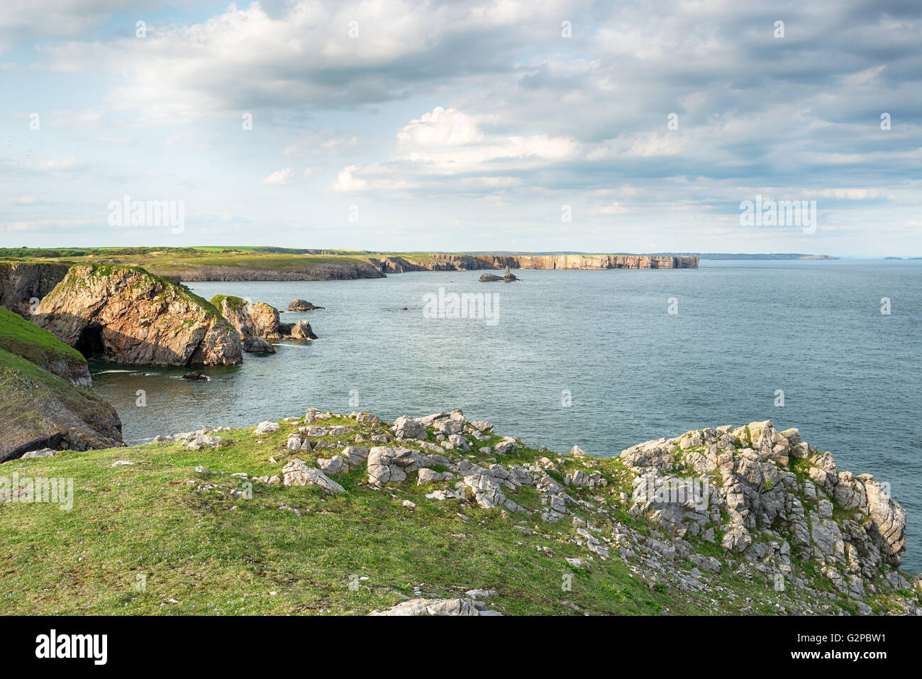 The Pembrokeshire coast path near Stackpole in Wales Stock Photo