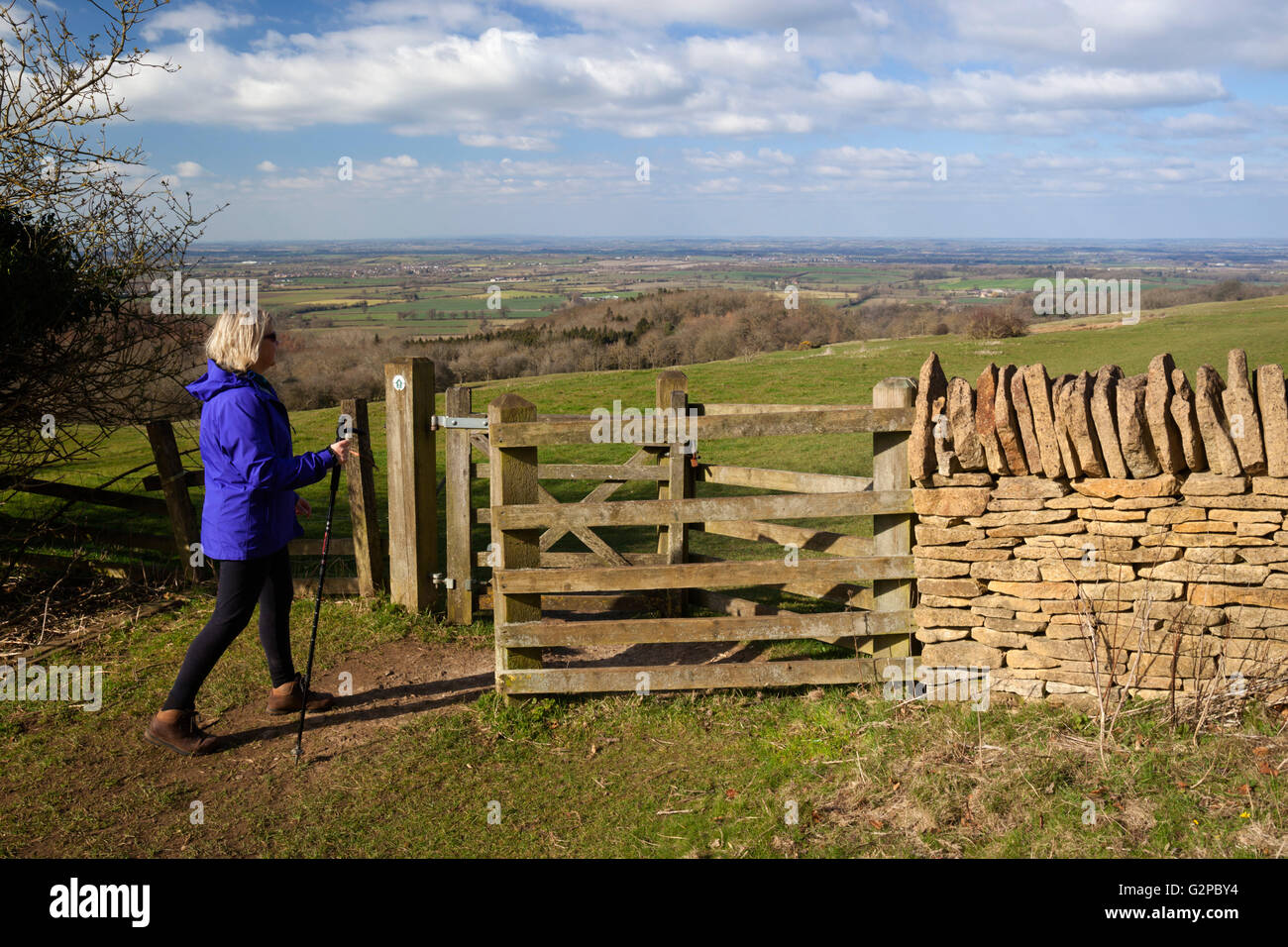 Walker on Dover's Hill, near Chipping Campden, Cotswolds, Gloucestershire, England, United Kingdom, Europe Stock Photo