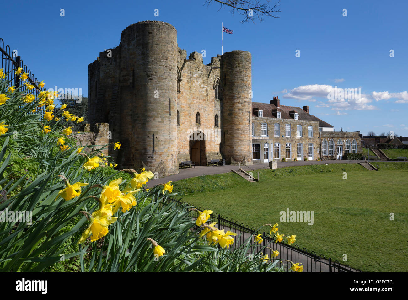 Tonbridge Castle with Daffodils, Tonbridge, Kent, England, United Kingdom, Europe Stock Photo