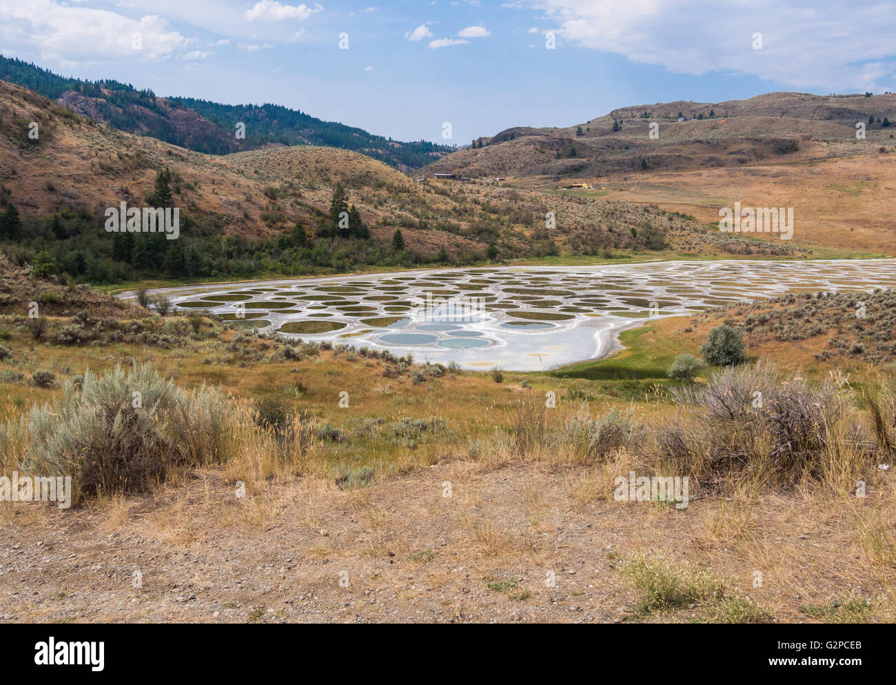 Saline endorheic alkali lake hires stock photography and images Alamy