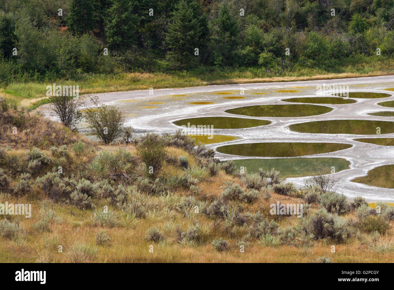 Canada british columbia canada okanagan spotted lake alkali lake
