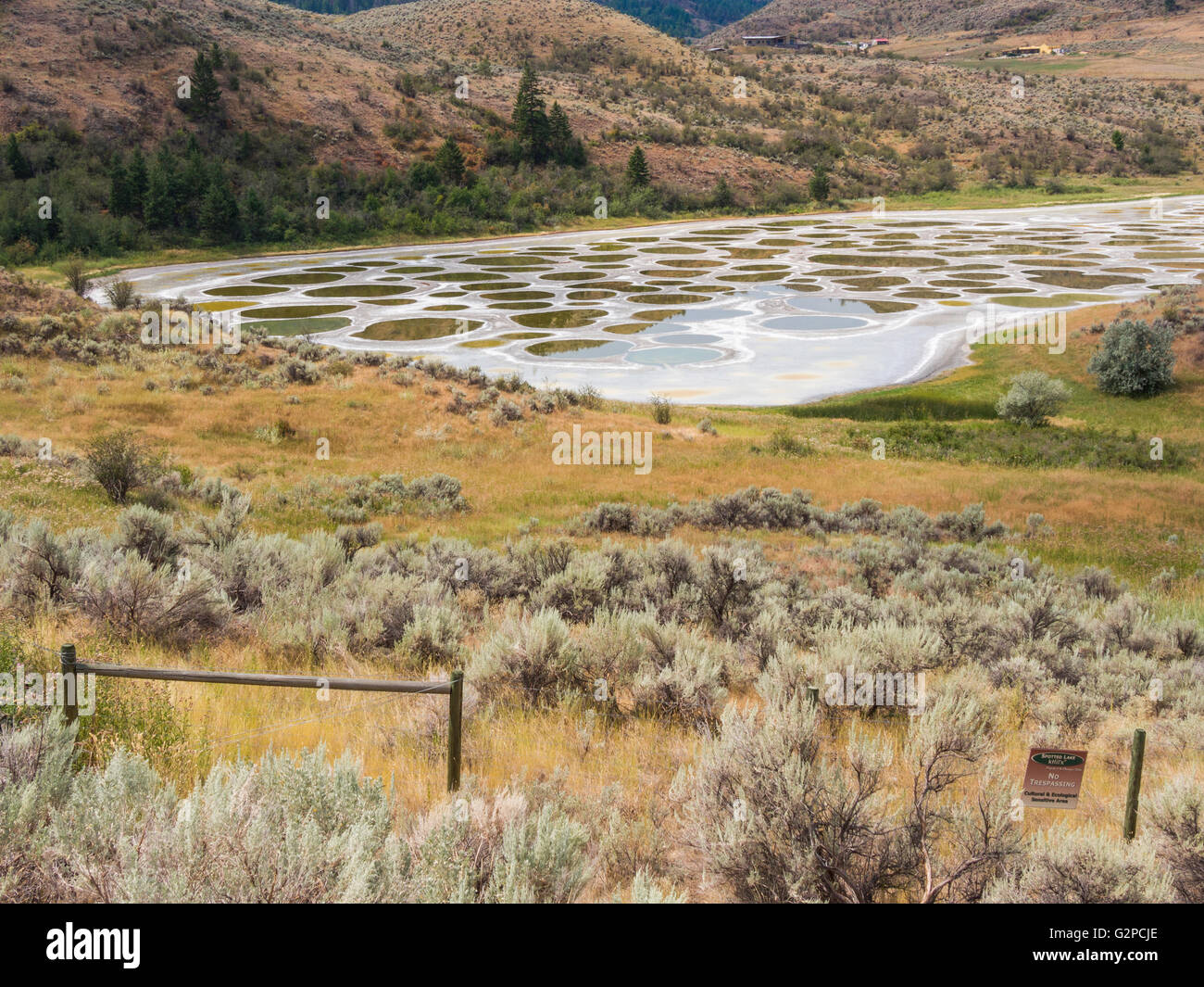 Spotted Lake Is A Saline Endorheic Alkali Lake Near Osoyoos Canada Water Evaporates In Summer Leaving Mineral Deposits Stock Photo Alamy Spotted Lake Is A Saline Endorheic Alkali Lake Near Osoyoos Canada Water Evaporates In Summer Leaving Mineral Deposits Stock Photo Alamy