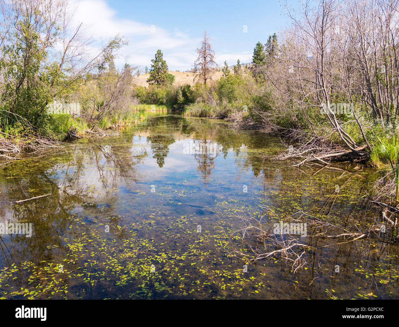 Wildlife viewing area at Vaseux Lake Provincial Park, by Highway 97