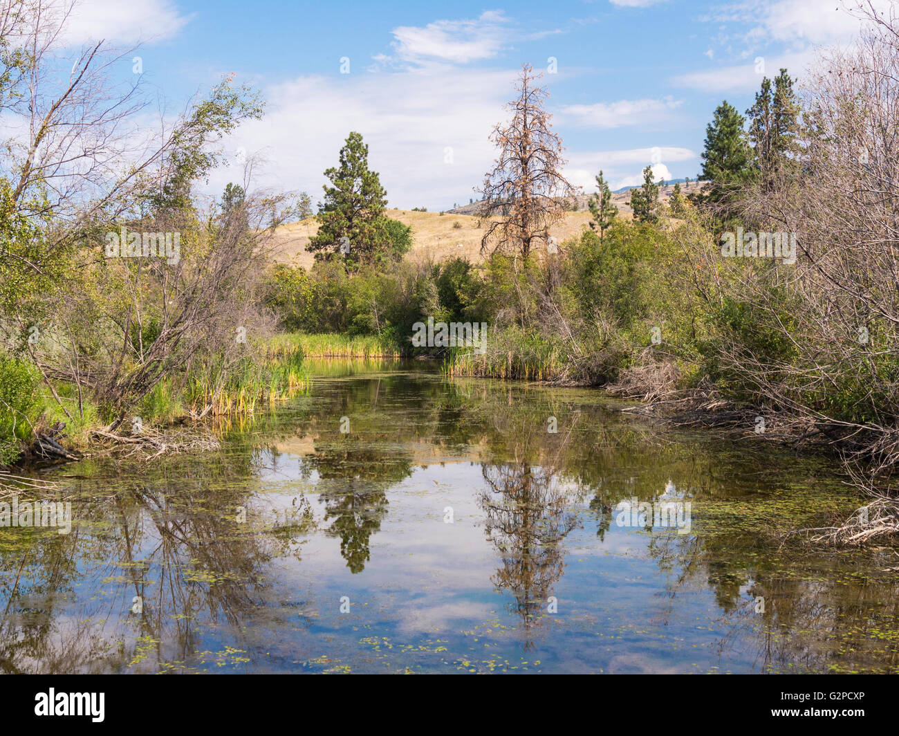Wildlife viewing area at Vaseux Lake Provincial Park, by Highway 97