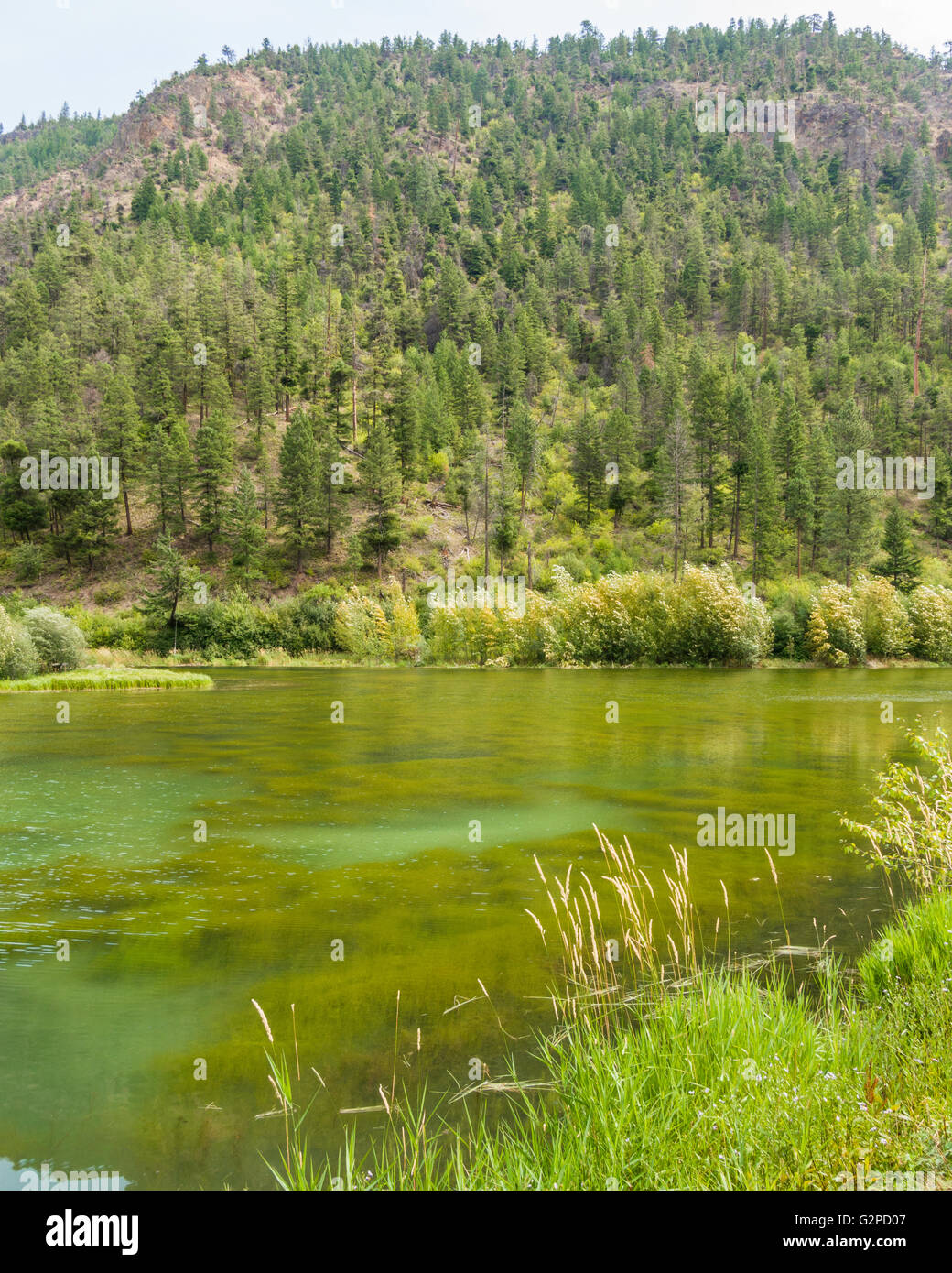 Ford Lake, beside Green Mountain Road near Penticton, BC, Canada Stock