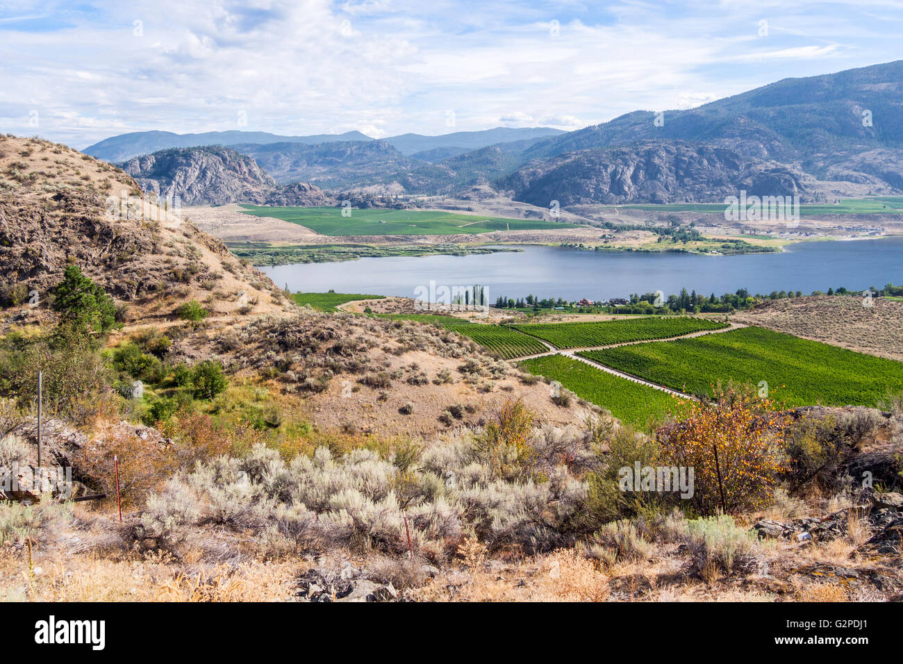 View of desert, vineyards and Osoyoos Lake, seen from a rest area on the Crowsnest Highway near Osoyoos, BC, Canada Stock Photo