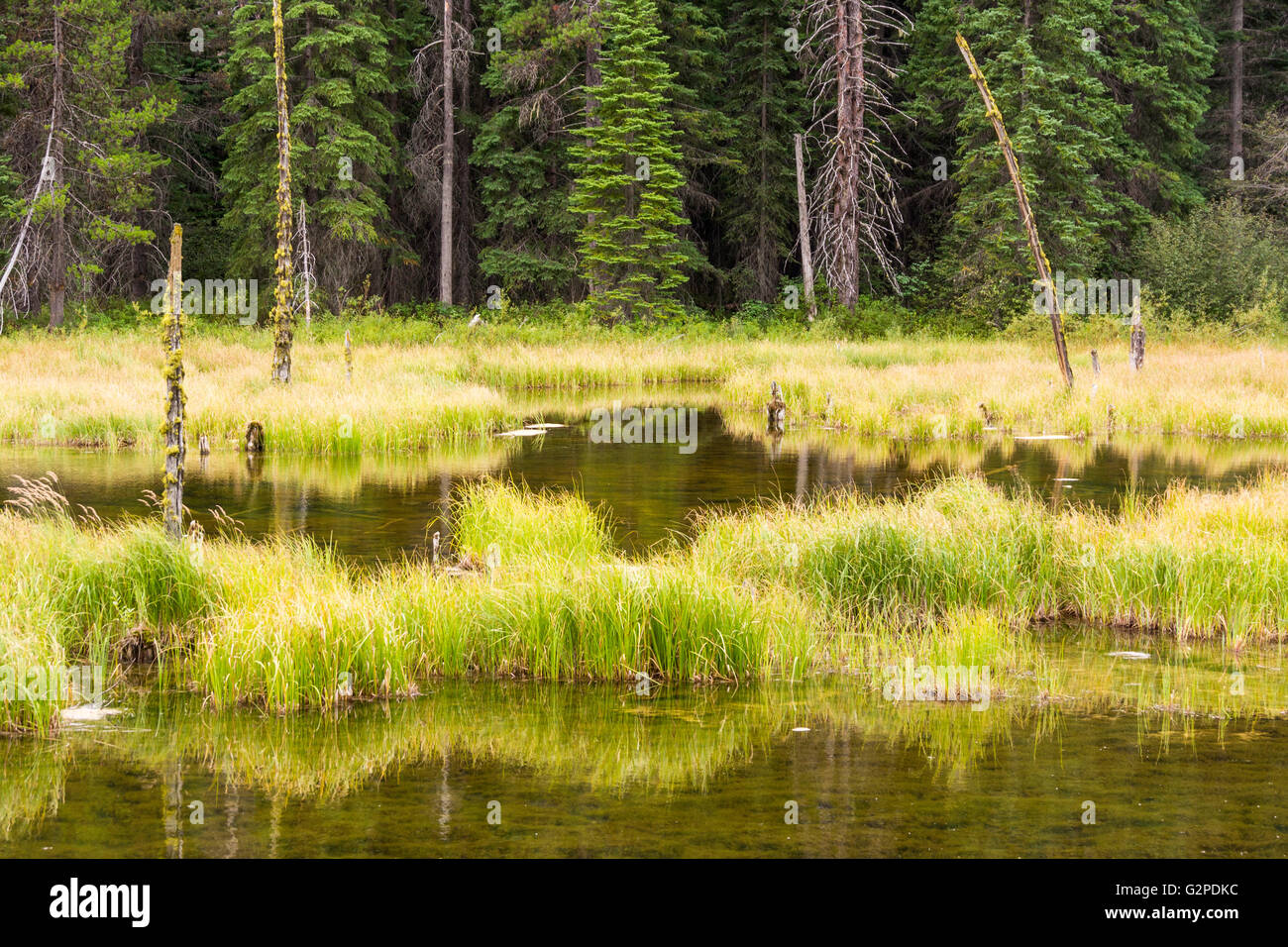 Beaver Pond, on Beaver Pond Trail, a rest area on Highway 3 in E. C