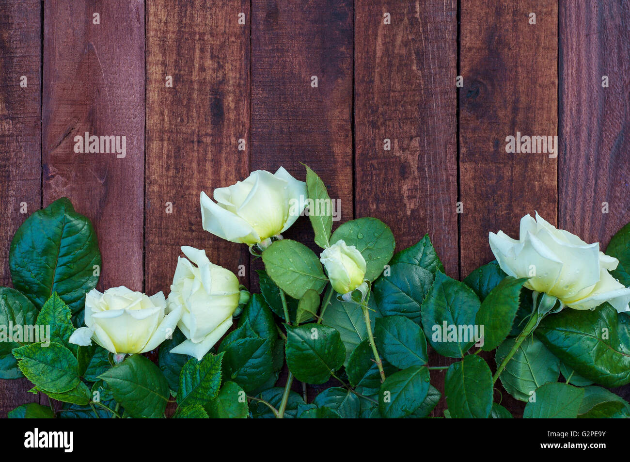 Bouquet of white roses on a brown wooden background Stock Photo - Alamy