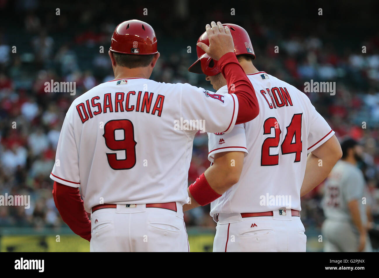 June 1, 2016 Los Angeles Angels first baseman C.J. Cron 24 gets a pat