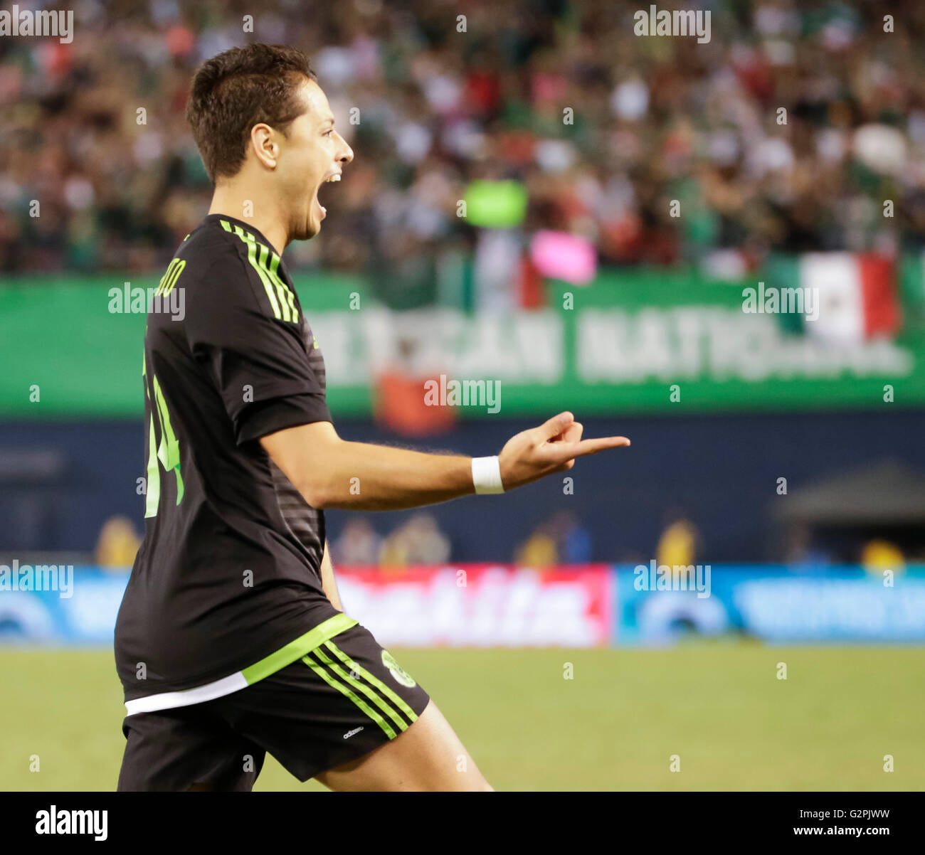 San Diego, California, USA. 01st June, 2016. Mexican Forward #14 Javier ''Chicharito'' Hernandez celebrates his goal during an international soccer match between Mexico and Chile at Qualcomm Stadium in San Diego, California. Mexico defeats Chile 1-0. Justin Cooper/CSM/Alamy Live News Stock Photo