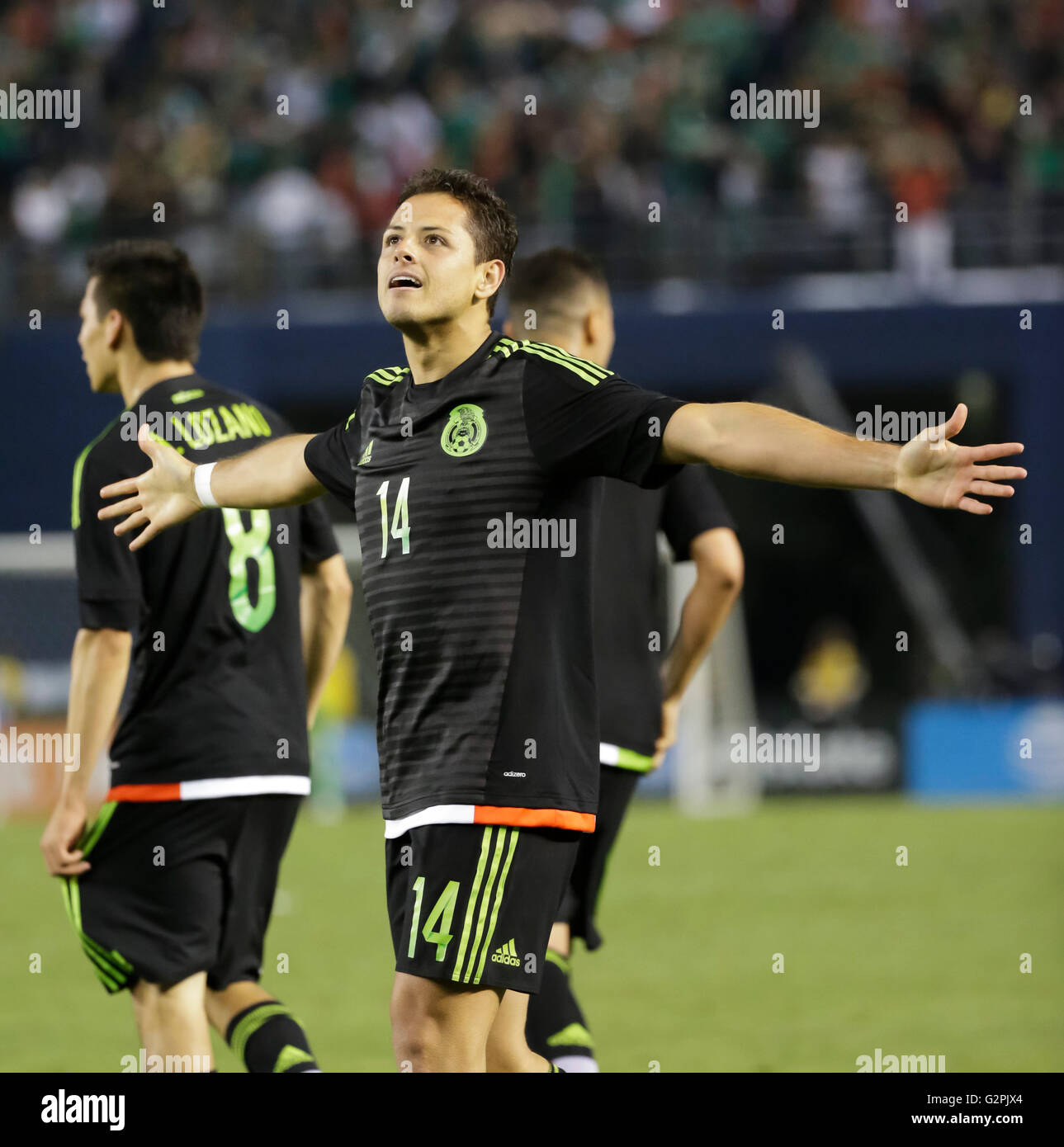 San Diego, California, USA. 01st June, 2016. Mexican Forward #14 Javier ''Chicharito'' Hernandez salutes the fans after his goal during an international soccer match between Mexico and Chile at Qualcomm Stadium in San Diego, California. Mexico defeats Chile 1-0. Justin Cooper/CSM/Alamy Live News Stock Photo