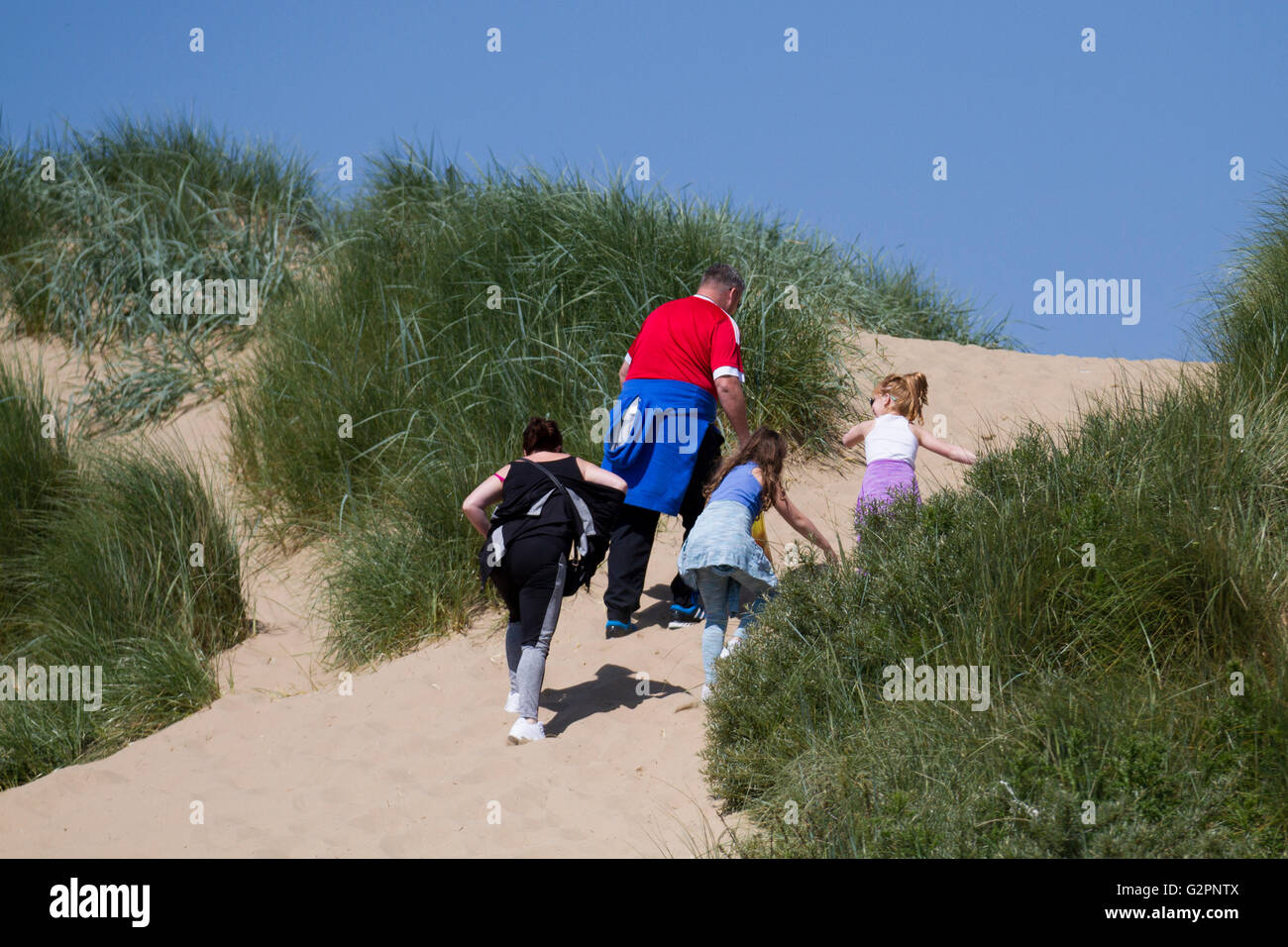 Sunny day at Ainsdale seaside sand dunes with Marram grass a landscape of the National Nature Coastal Reserve, Sefton coast, Southport, Merseyside, UK Stock Photo