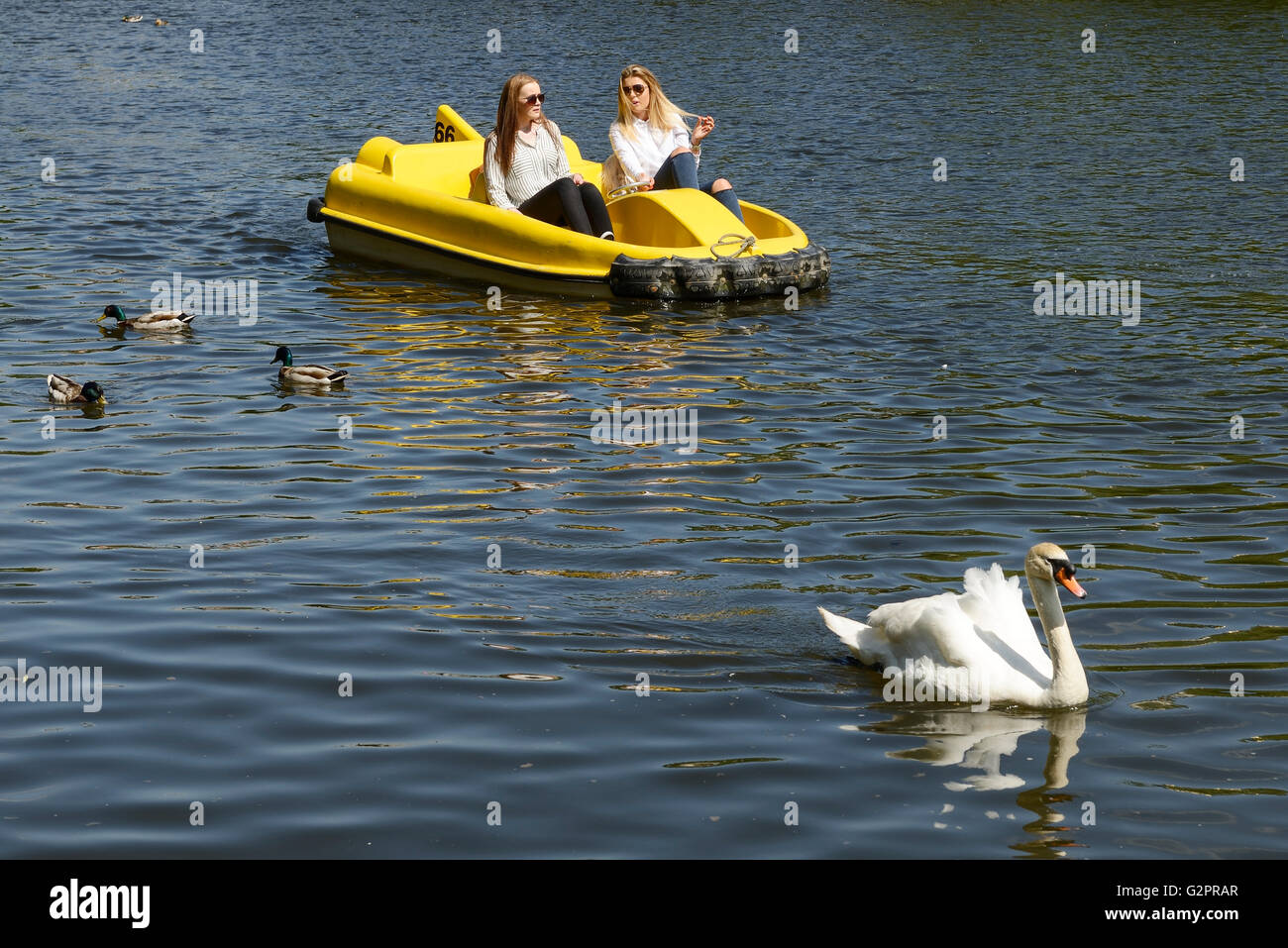 The Groves, Chester, UK. 2nd June 2016. People enjoying the sunny weather on the River Dee at The Groves in Chester city centre. Andrew Paterson/Alamy Live News Stock Photo