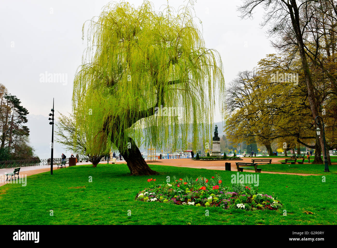 Weeping willow tree in park (by Les Jardins de l'Europe), Annecy, France Stock Photo