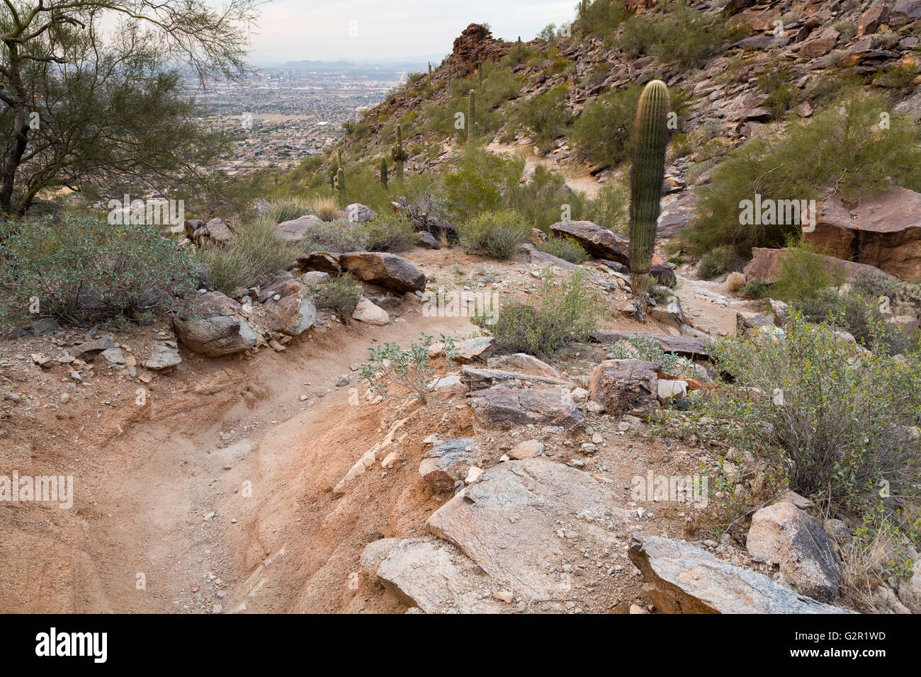 The Geronimo Trail descending toward Phoenix. South Mountain Park
