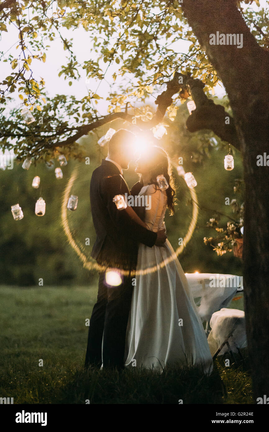 Beautiful bride and groom kissing at the sunset under tree decorated ...