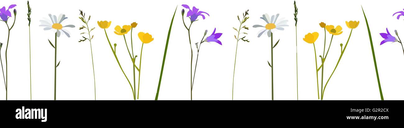 Seamless pattern wild flowers, isolated vector Stock Vector Image & Art ...
