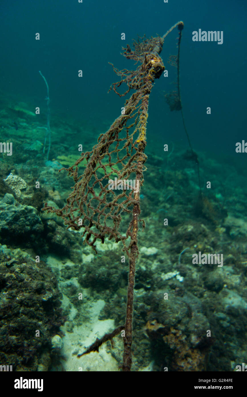 Hanging reef High Resolution Stock Photography and Images Alamy