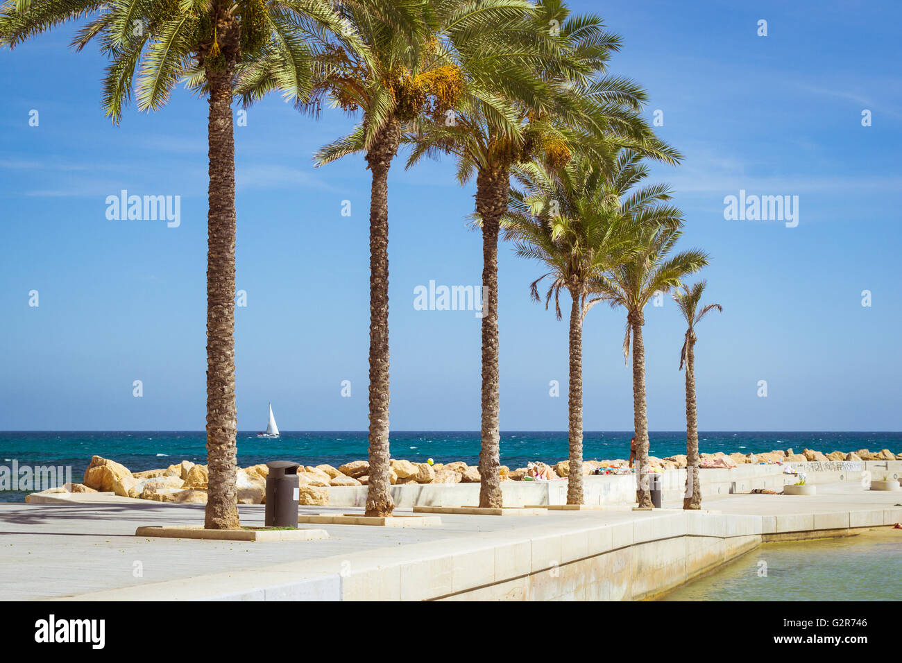 TORREVIEJA, SPAIN - SEPTEMBER 13, 2014: Sunny Mediterranean beach, promenade with palm trees, boat on the coast, Torrevieja Stock Photo