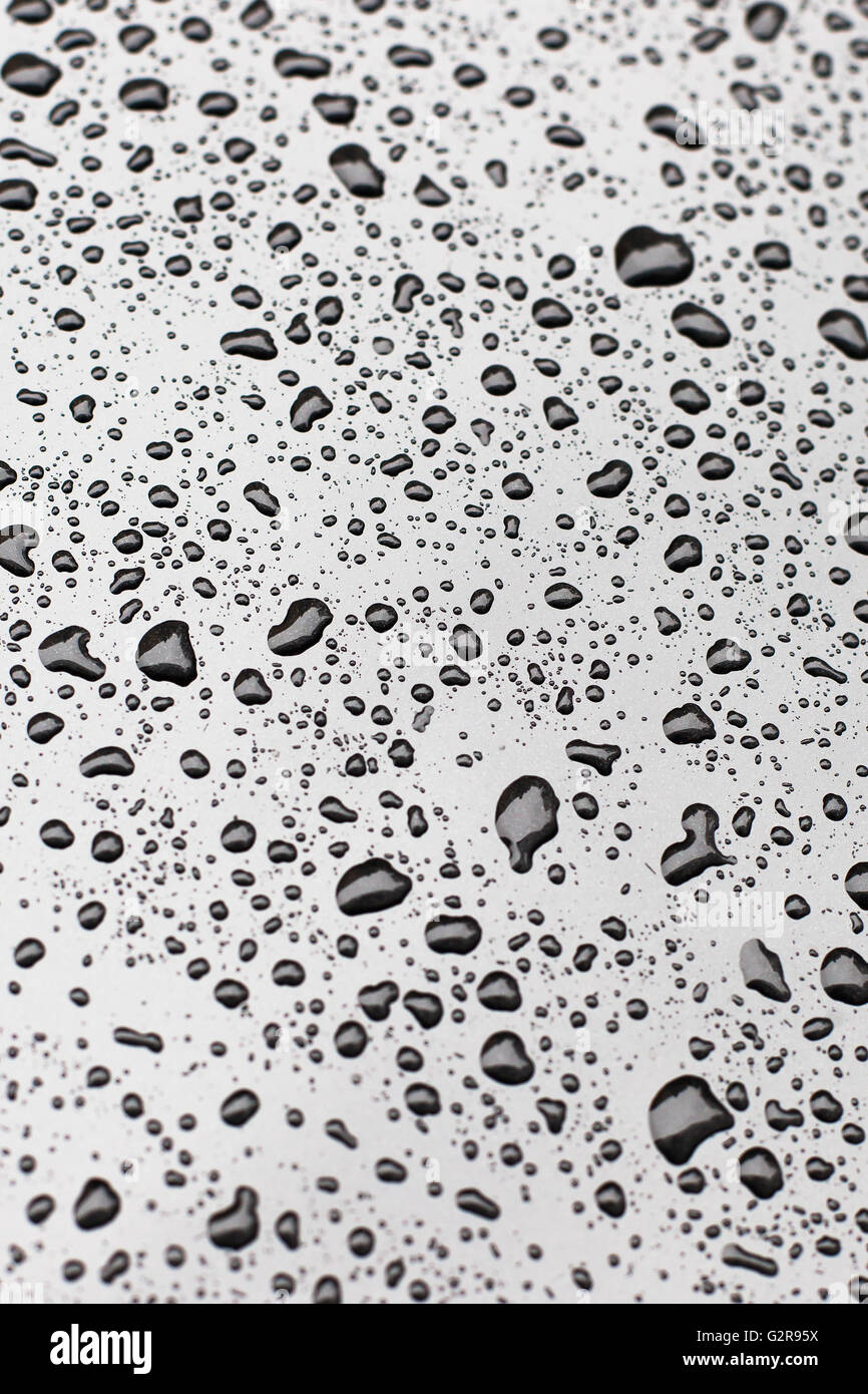 Water drops on car paint Stock Photo