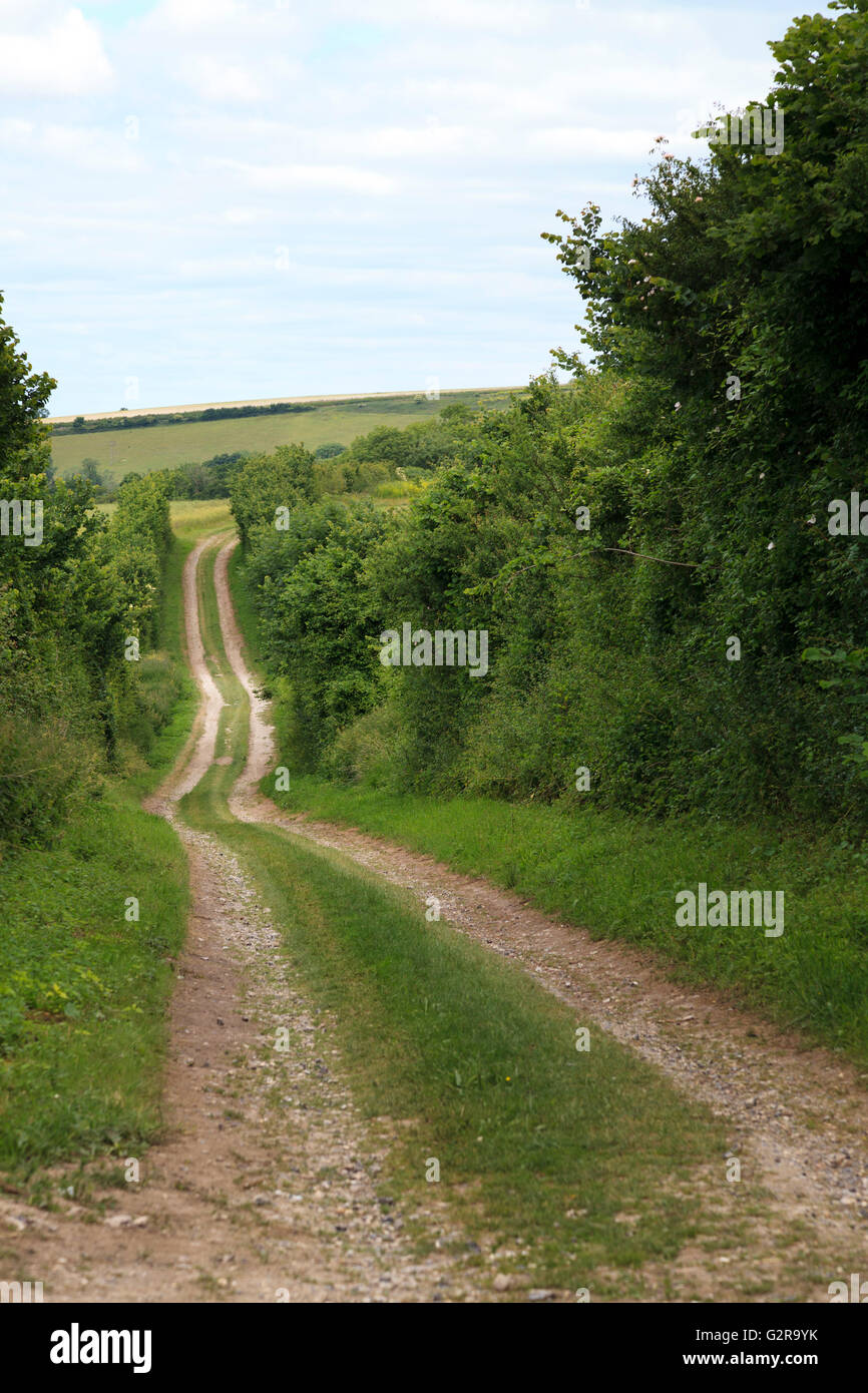 Countryside farm dirt track down and up hill into the distance, United Kingdom Stock Photo
