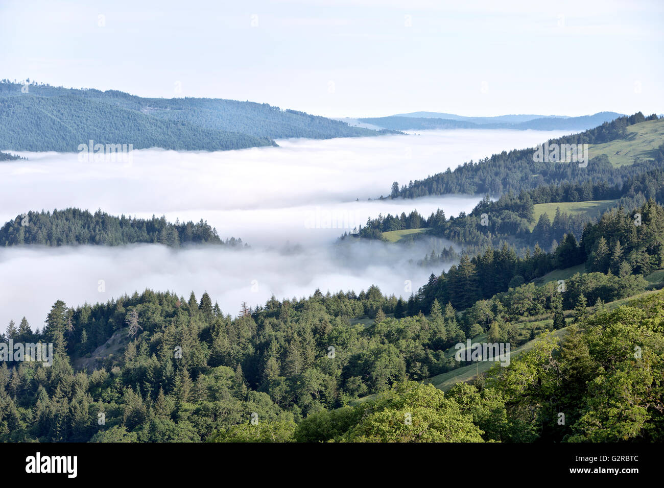 Coastal fog filled Redwood Creek Basin, Berry Summit . Stock Photo