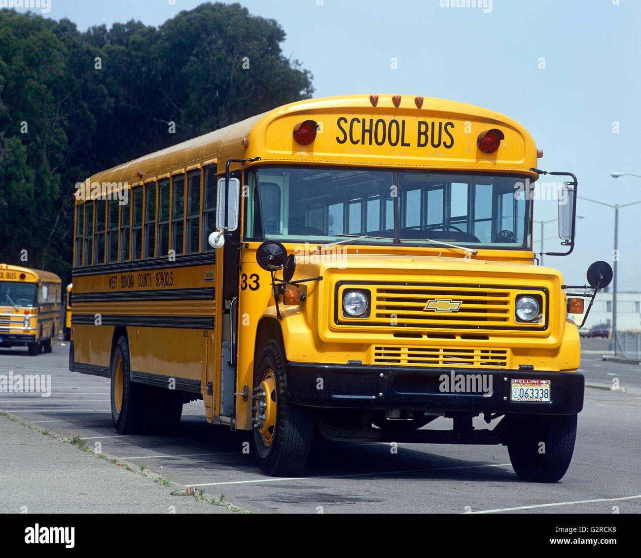 Albums 93+ Images pictures of yellow school buses Sharp