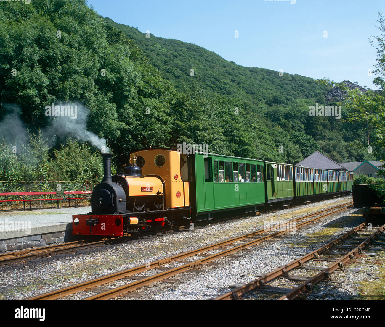 A green and yellow steam train on the tracks, outside. Stock Photo