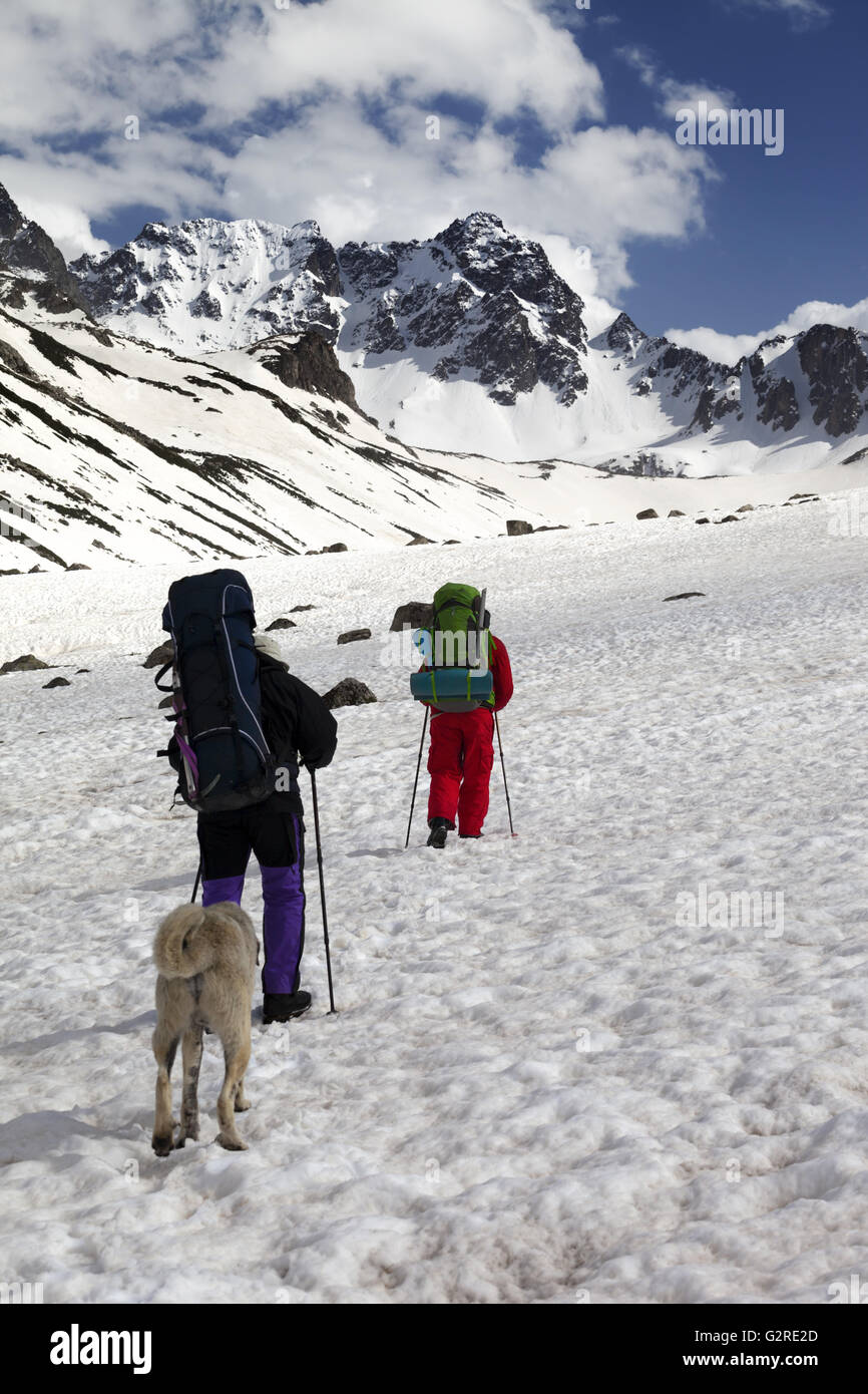 Dog and two hikers in snowy mountains. Turkey, Kachkar Mountains (highest part of Pontic Mountains). Stock Photo