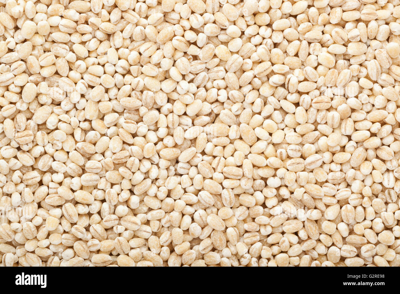 Closeup of lots of barley grains Stock Photo
