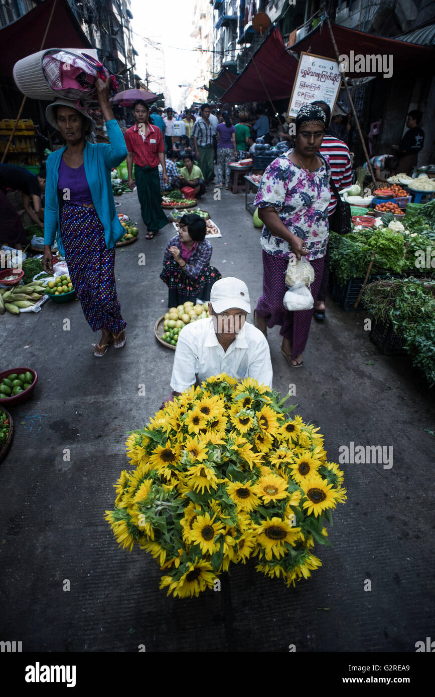 Flower vendor in a street market of Yangon, Myanmar Stock Photo Alamy