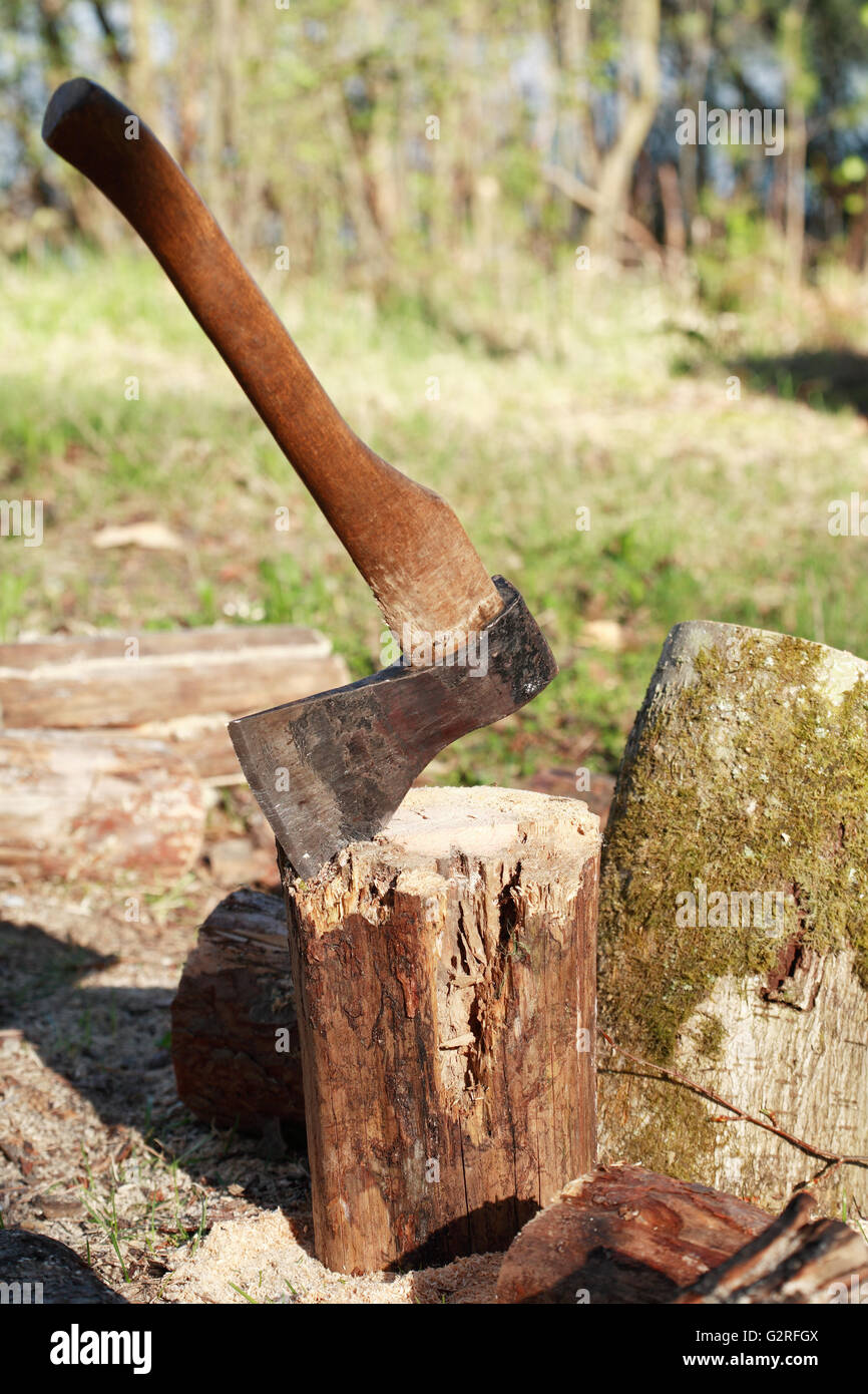 Firewood Splitting. Stack of logs with axe on green clearing in forest Stock Photo