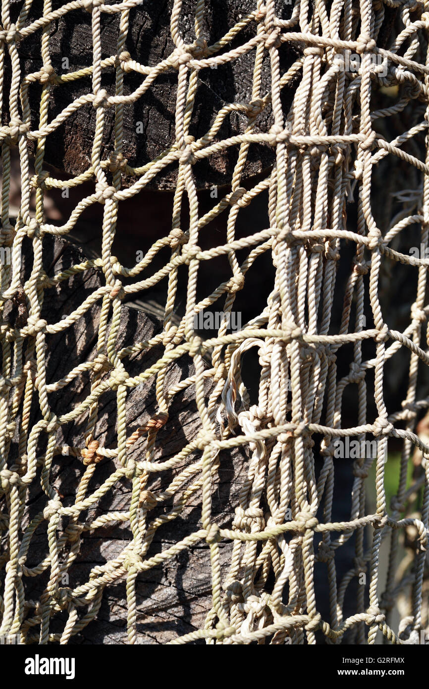 Hanging on net hi-res stock photography and images - Alamy