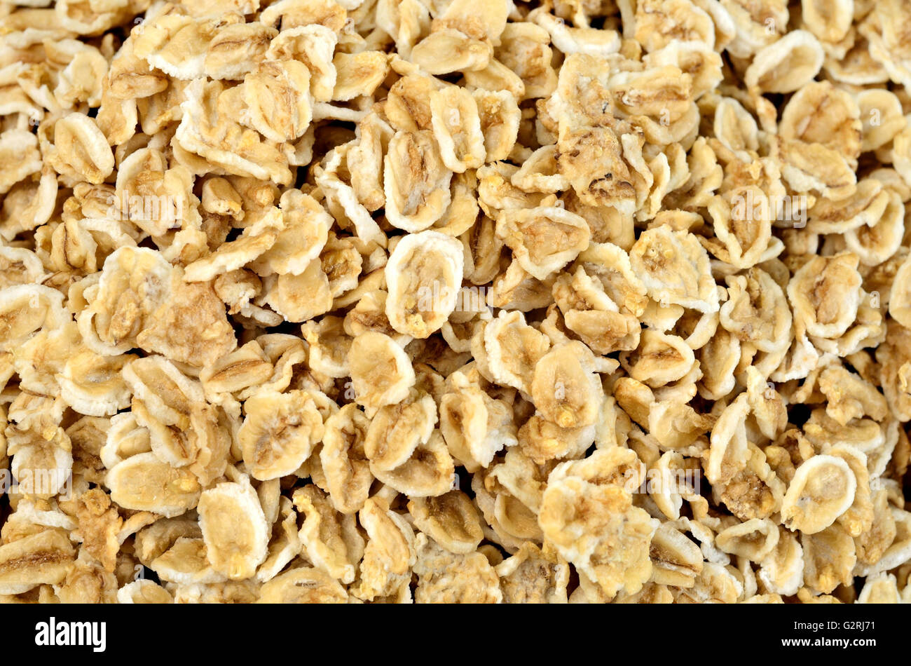 Many oats on background closeup Stock Photo