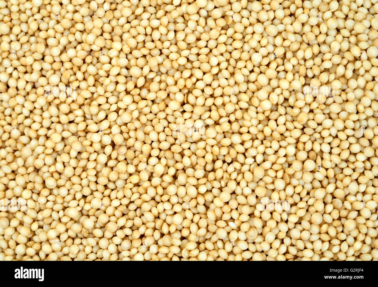 Background of amaranth seeds closeup Stock Photo